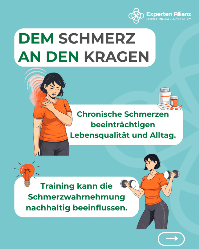 Inhalt-Dem-Schmerz-an-den-Kragen-1